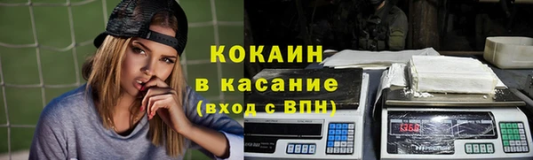 крисы Бородино