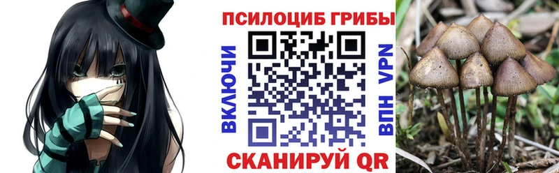 хочу   Коломна  MEGA ссылки  Псилоцибиновые грибы GOLDEN TEACHER 