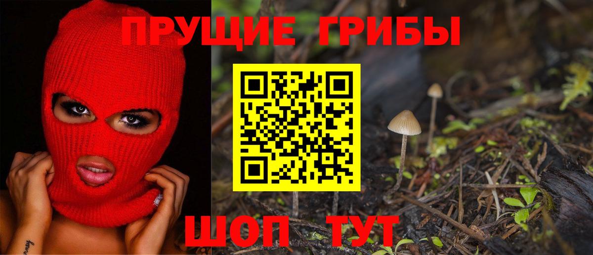 Коломна  Галлюциногенные грибы MAGIC MUSHROOMS  Вход с VPN 